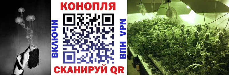 Купить закладку Cocaine  Канабис  Alpha PVP  ГАШИШ  Меф  Кирово-Чепецк