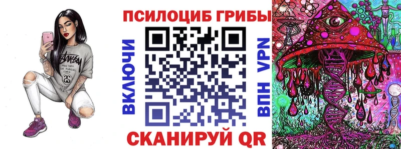 Псилоцибиновые грибы Psilocybe  Купить  Кирово-Чепецк 
